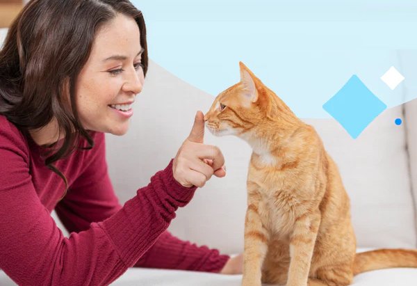 PETSAFE PAC19-14262 Litter Box Accessory 2 petsafe pac19-14262 litter box accessory
