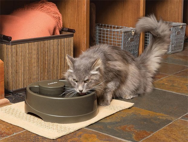 PETSAFE Drinkwell Medium Water Fountain 2 petsafe drinkwell medium water fountain