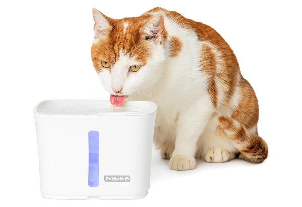 PETSAFE Drinkwell Viva Water Fountain 4 petsafe drinkwell viva water fountain