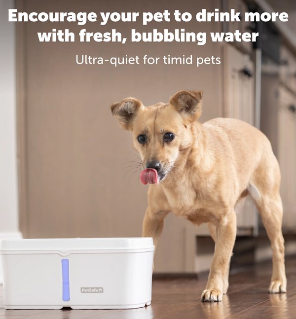 PETSAFE Drinkwell Viva Water Fountain 6 petsafe drinkwell viva water fountain