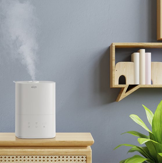 📢 Shop Now! ARGO HYDRO ZEN WF Humidifier