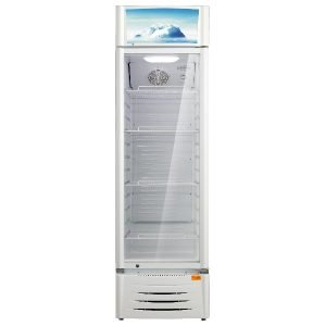 ARIELLI ASC-316GW 316Ltr Upright Free-Standing Fridge